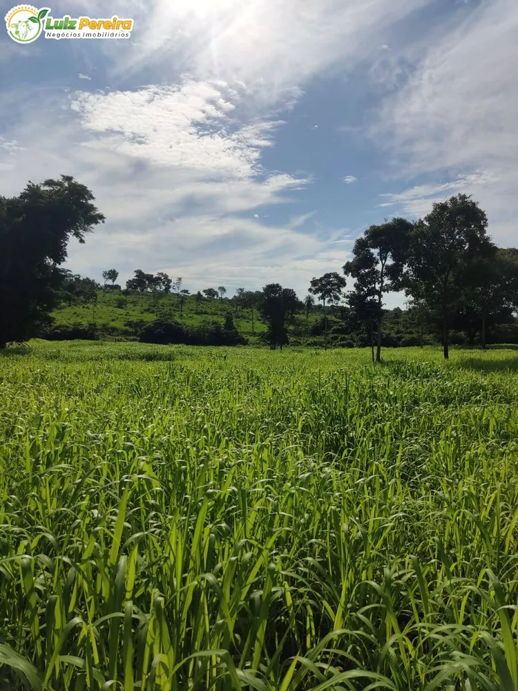 Terreno, 446 hectares - Foto 1