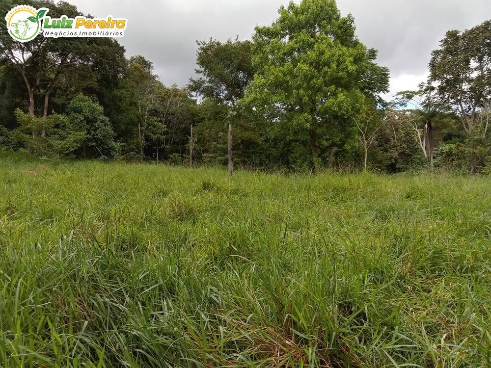 Terreno, 446 hectares - Foto 2
