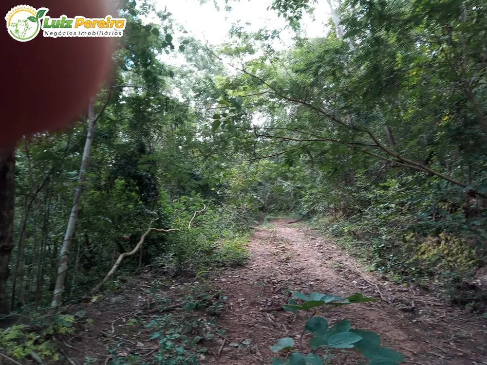 Terreno, 446 hectares - Foto 16