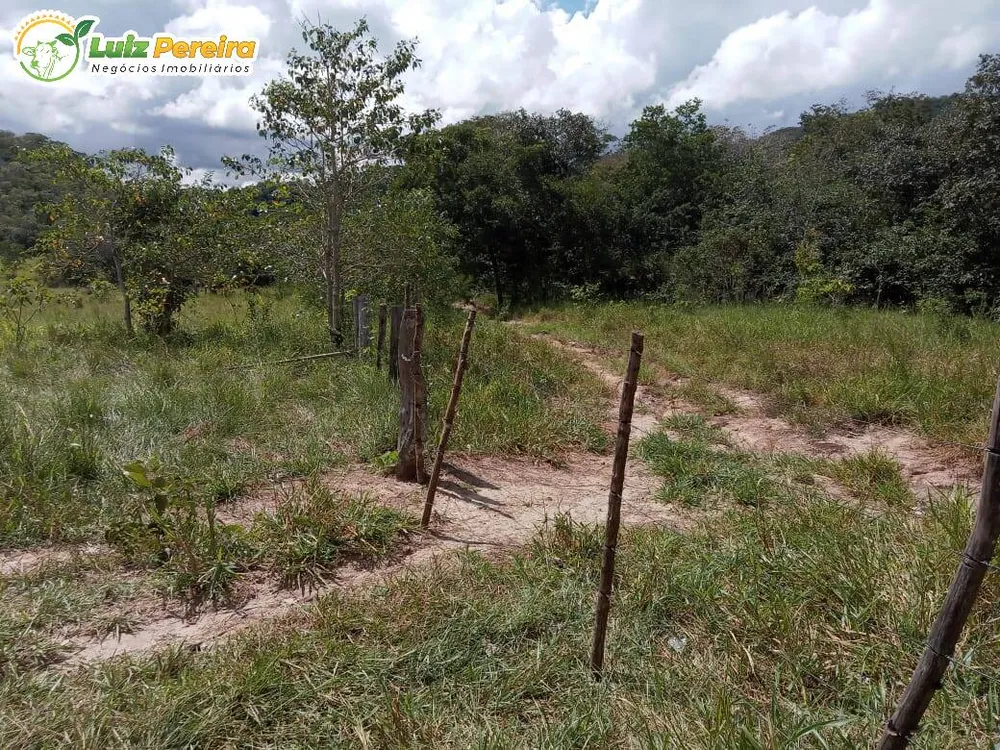 Terreno, 446 hectares - Foto 7