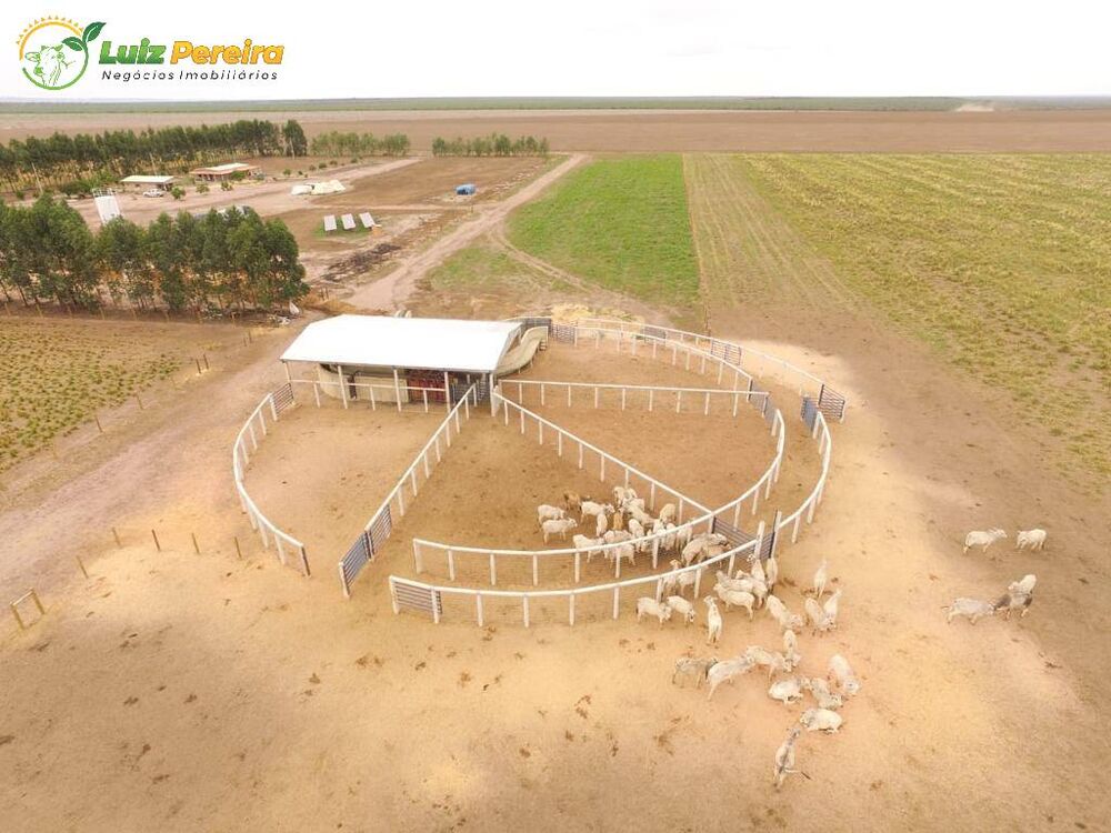 Terreno, 2618 m² - Foto 2