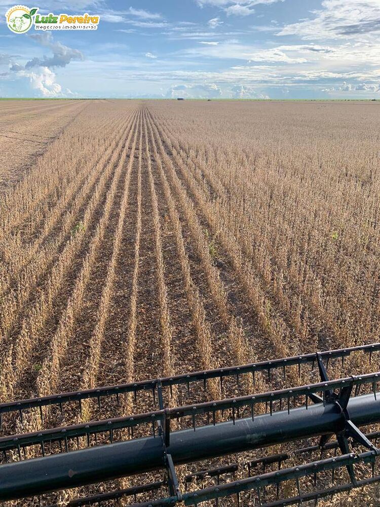 Terreno, 2618 m² - Foto 10