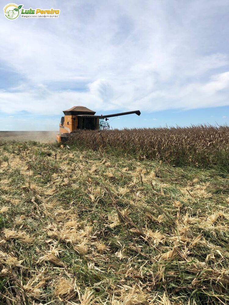 Terreno, 2618 m² - Foto 7