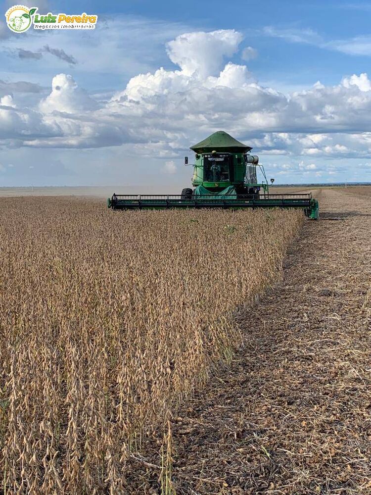 Terreno, 2618 m² - Foto 9