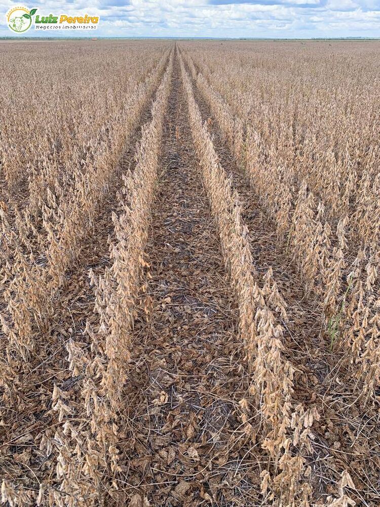 Terreno, 2618 m² - Foto 8