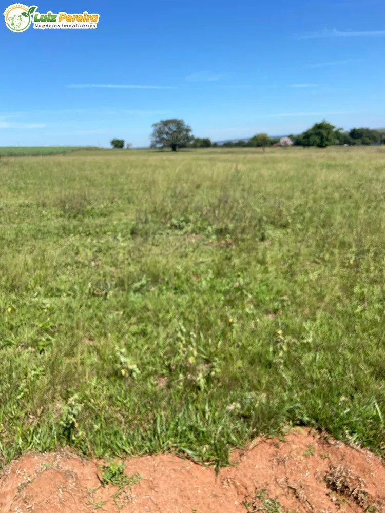 Terreno, 491 m² - Foto 4