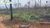 Terreno, 4000 hectares - Foto 3