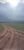 Terreno, 585 hectares - Foto 4