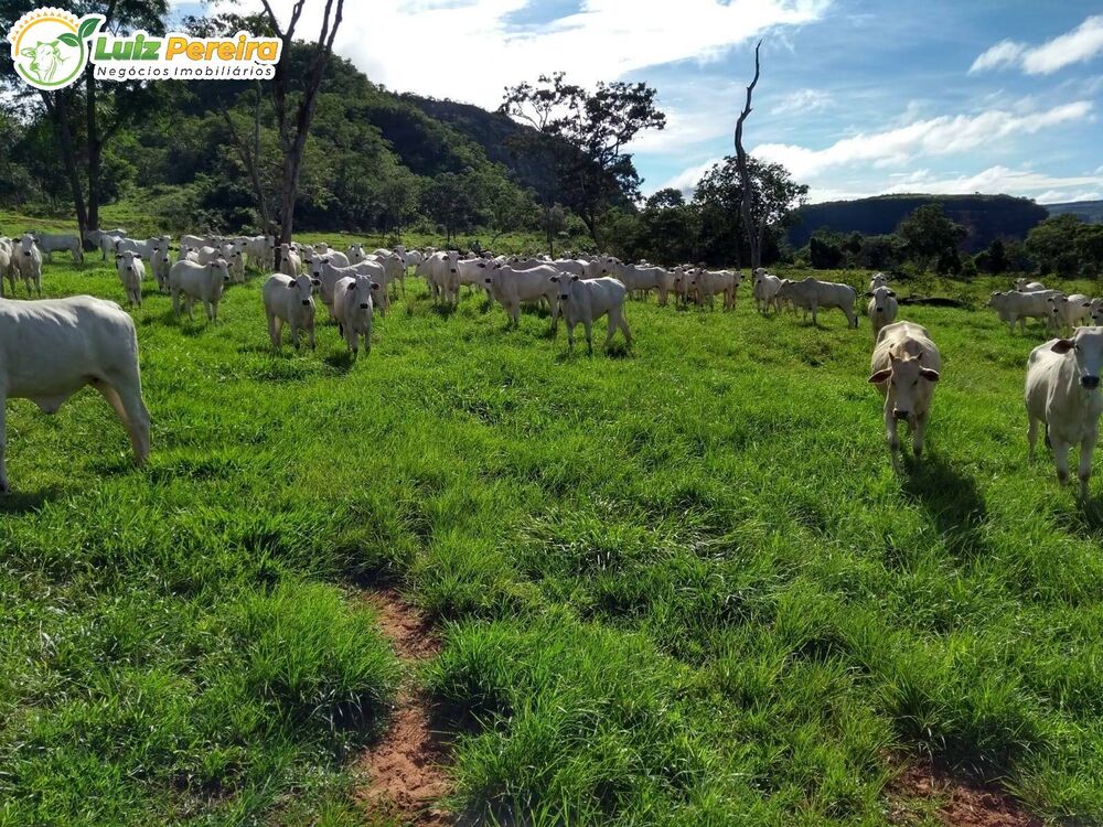 Terreno, 2508 m² - Foto 4