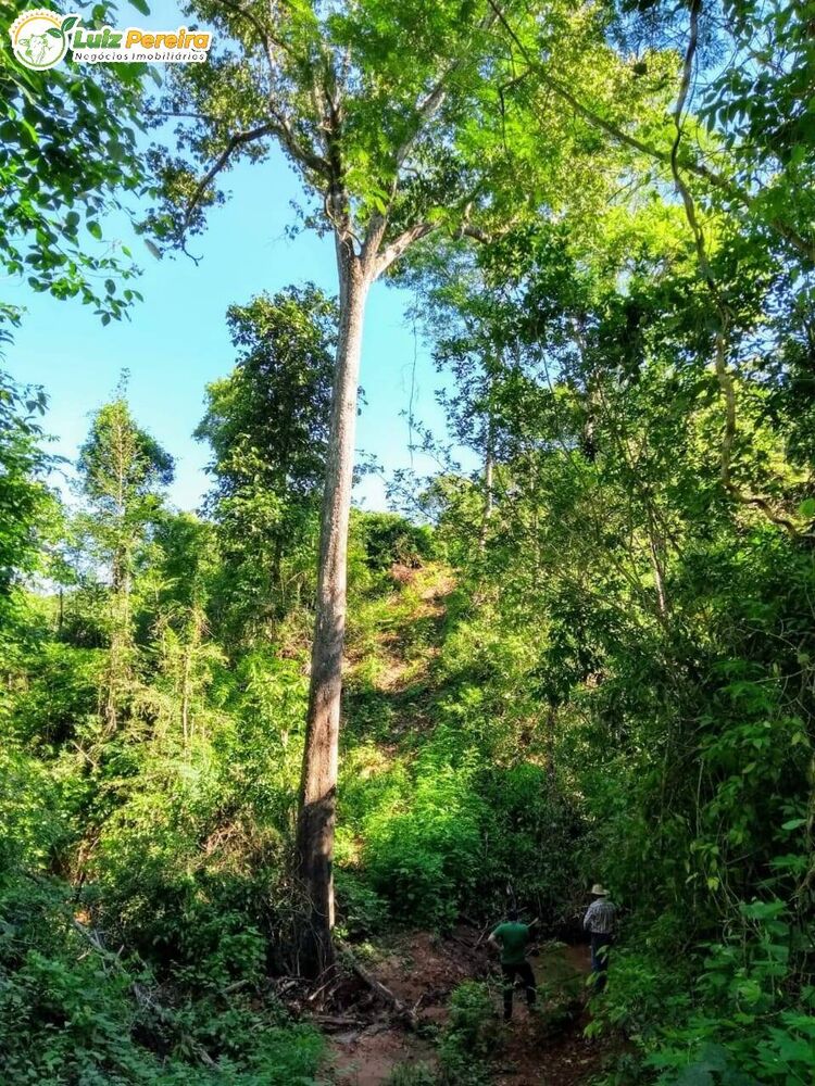 Terreno, 2508 m² - Foto 7