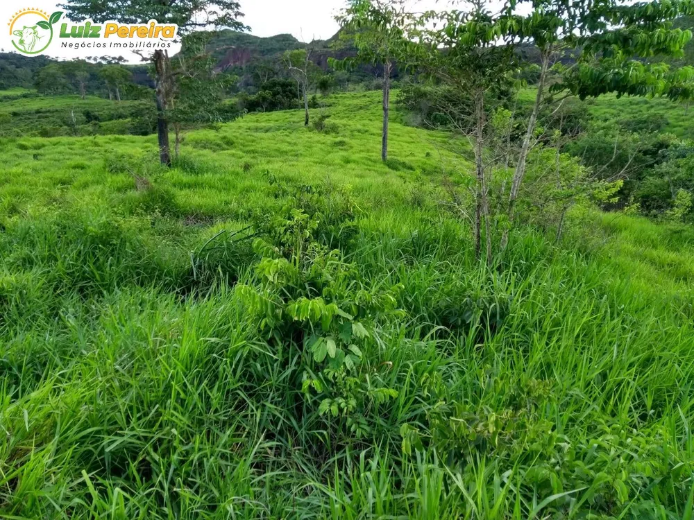 Terreno, 2508 m² - Foto 6