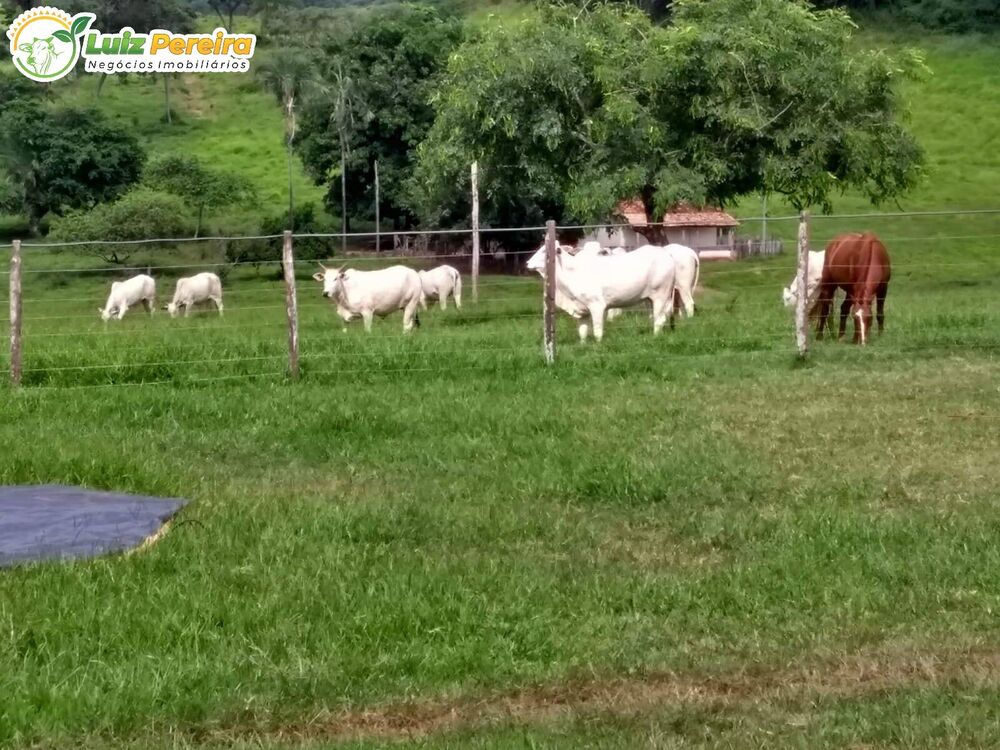 Terreno, 2508 m² - Foto 8