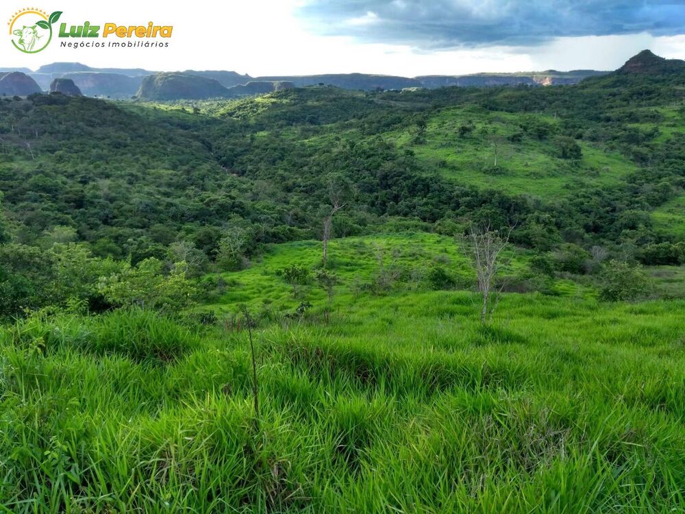 Terreno, 2508 m² - Foto 6