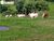 Terreno, 2508 m² - Foto 3