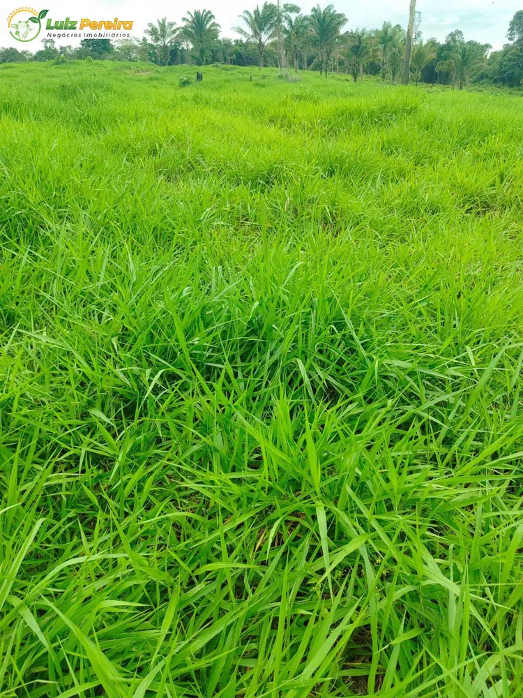 Terreno, 193 m² - Foto 1