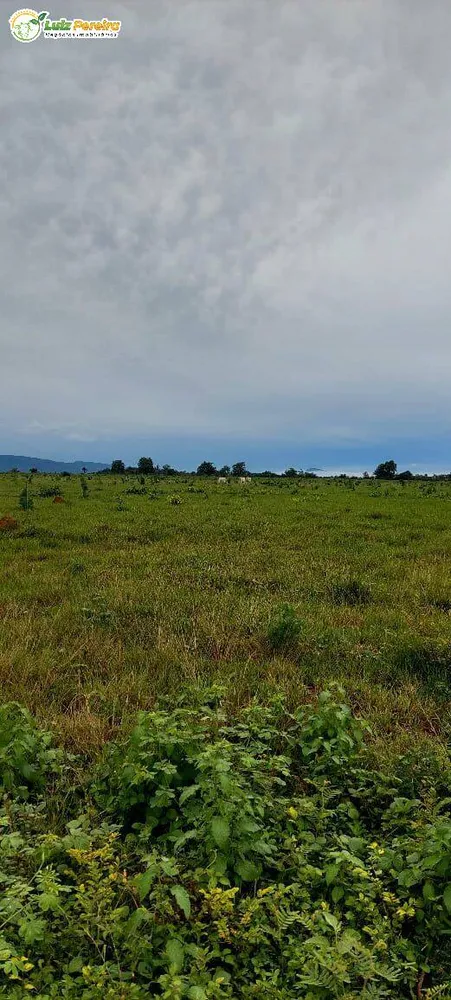 Terreno, 4777 m² - Foto 5