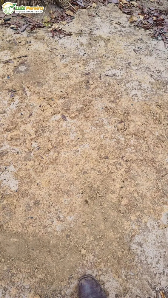 Terreno, 4100 m² - Foto 6