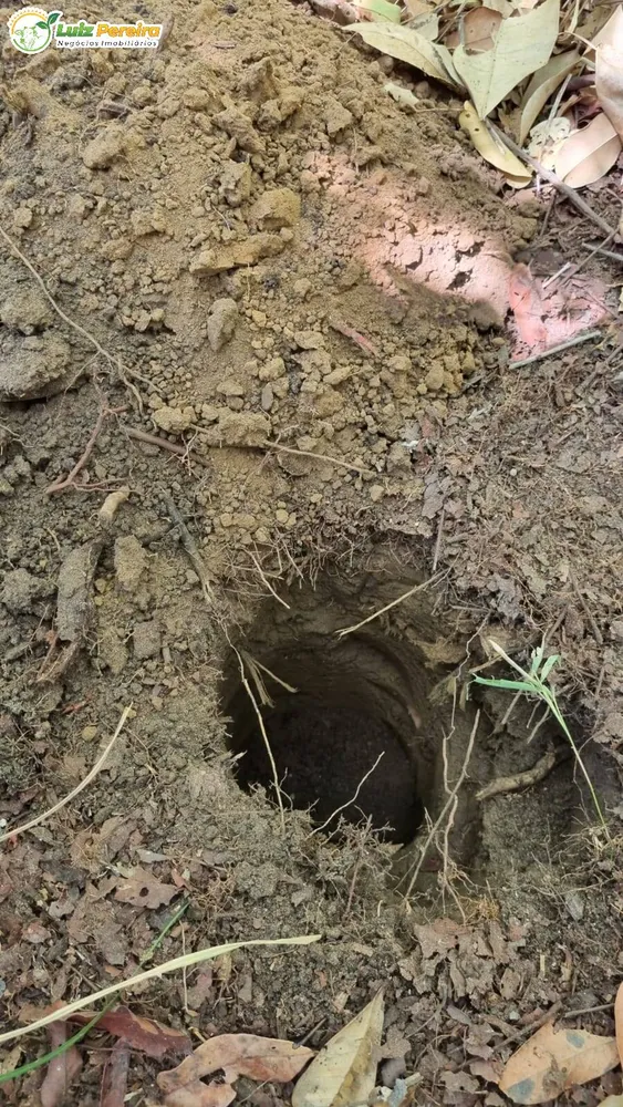 Terreno, 4100 m² - Foto 5