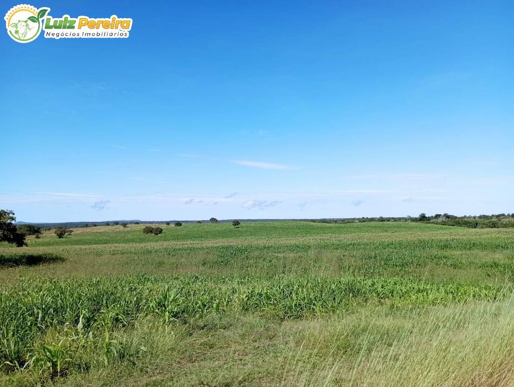 Terreno à venda, 501m² - Foto 1