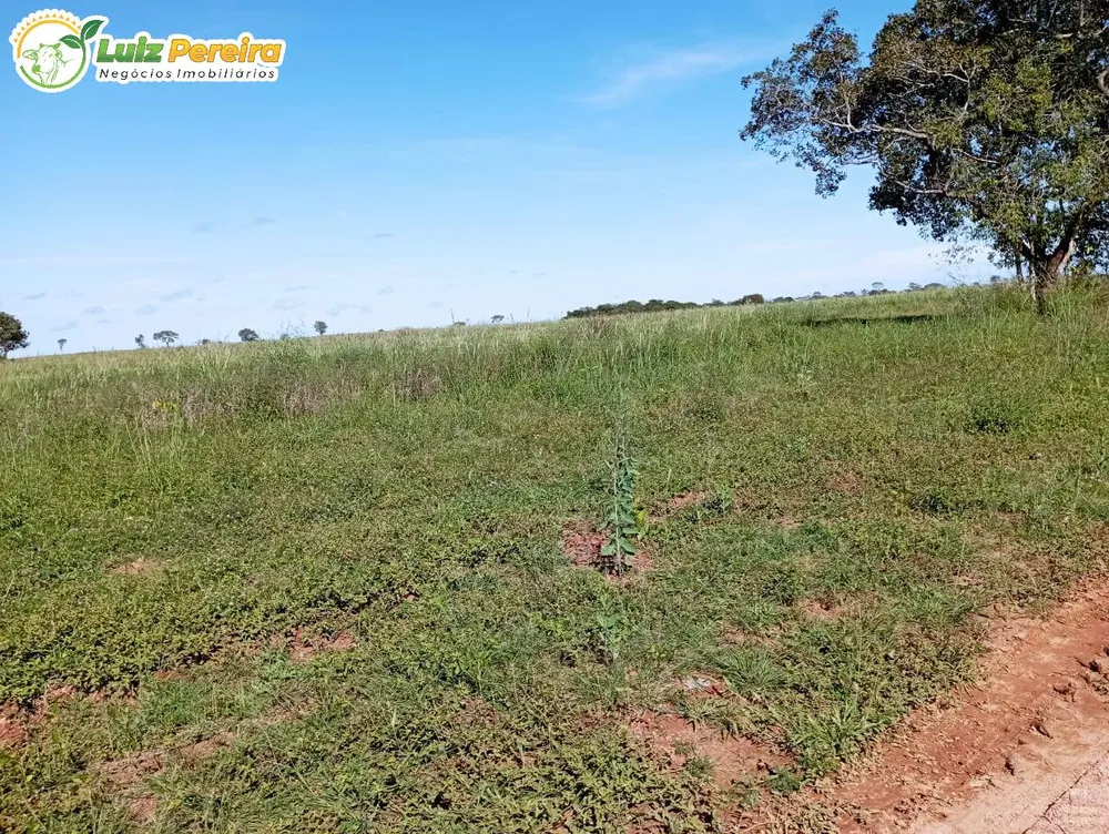 Terreno, 501 m² - Foto 6