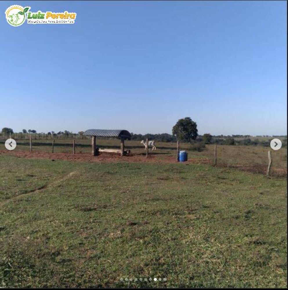 Terreno, 250 hectares - Foto 2