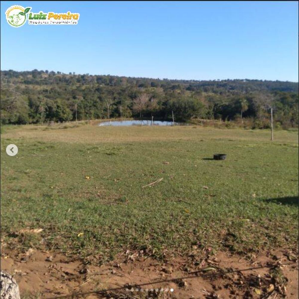 Terreno, 250 hectares - Foto 3