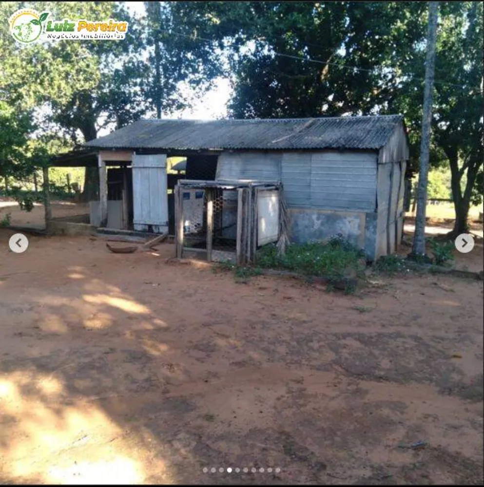 Terreno, 250 hectares - Foto 6