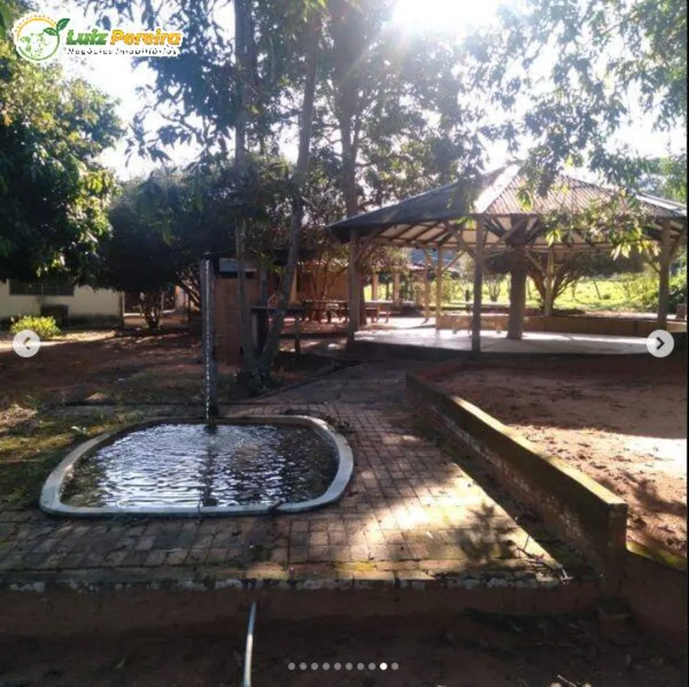 Terreno, 250 hectares - Foto 3