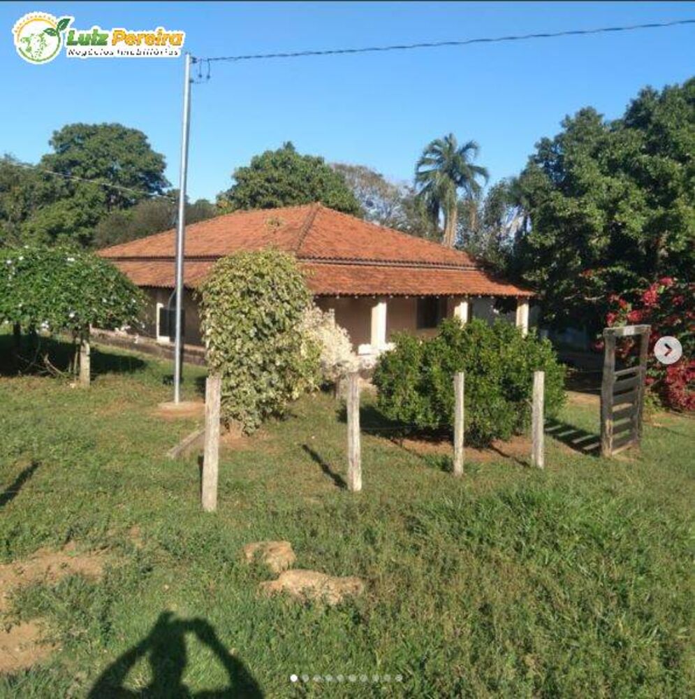 Terreno, 250 hectares - Foto 4