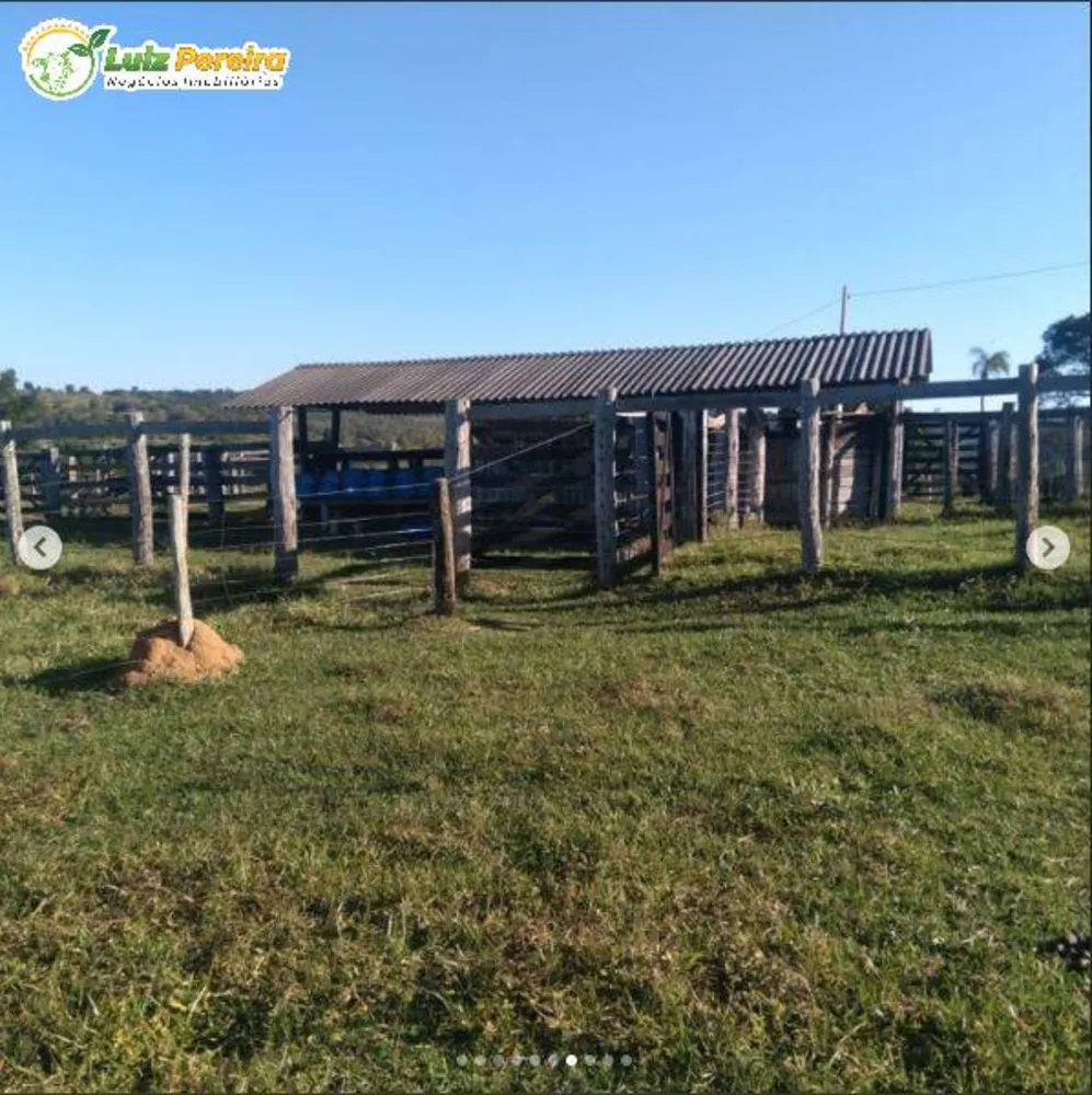 Terreno, 250 hectares - Foto 4