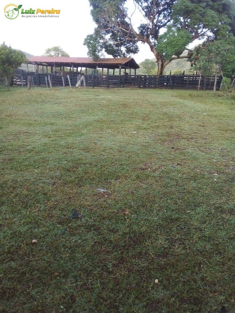 Terreno, 2129 m² - Foto 4