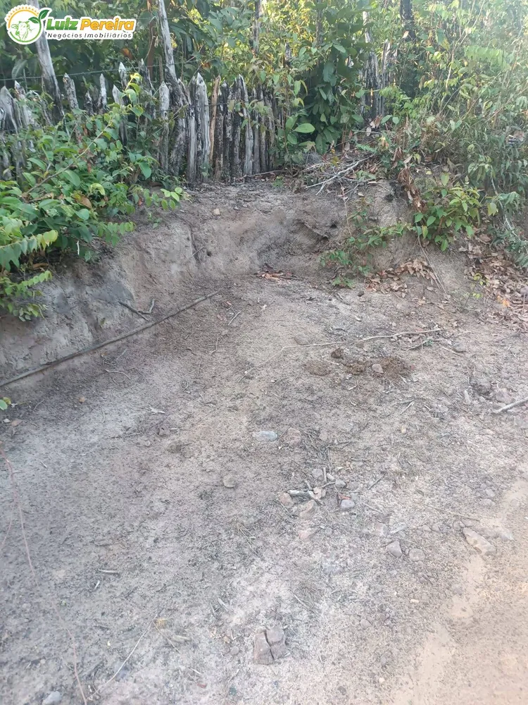 Terreno, 3 hectares - Foto 17