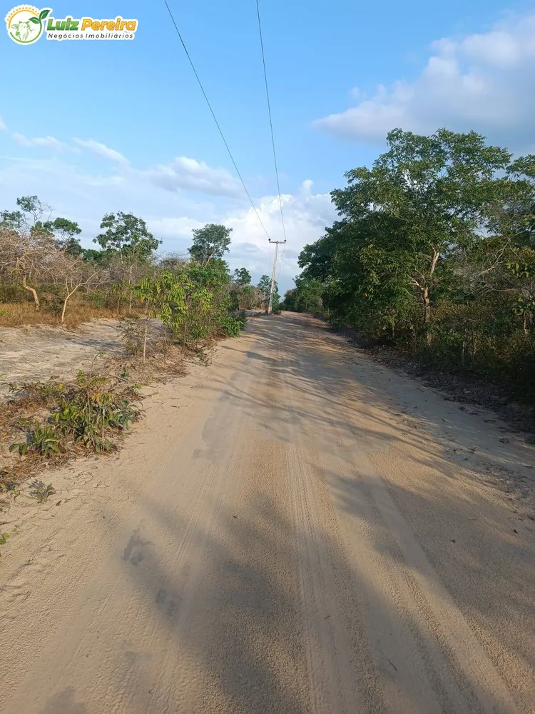 Terreno, 3 hectares - Foto 18