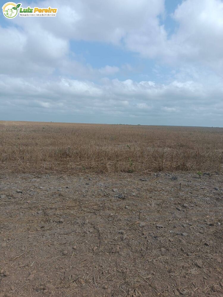 Terreno, 3 hectares - Foto 4