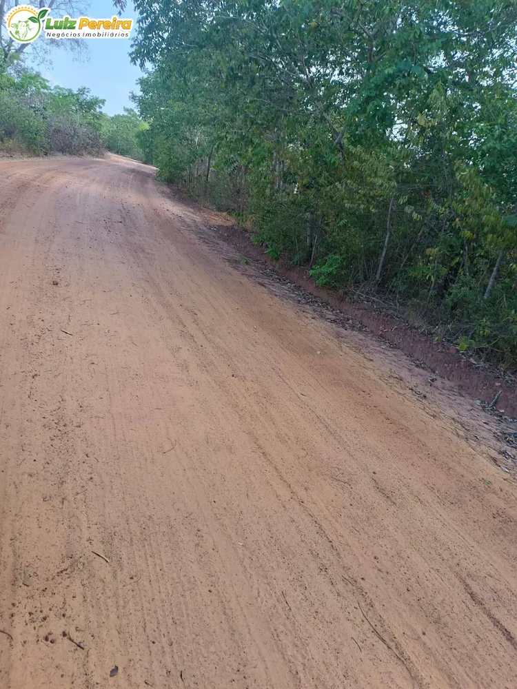 Terreno, 3 hectares - Foto 10