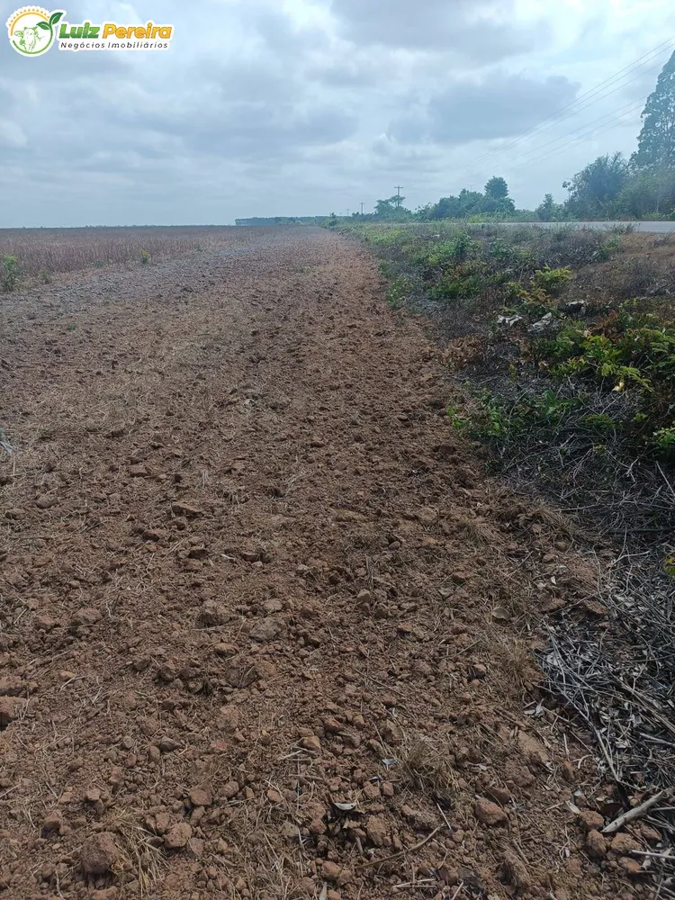 Terreno, 3 hectares - Foto 6