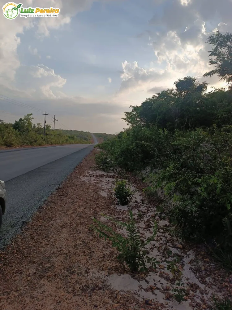 Terreno, 3 hectares - Foto 8