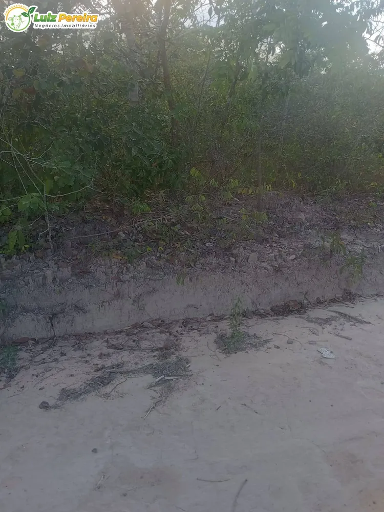 Terreno, 3 hectares - Foto 14