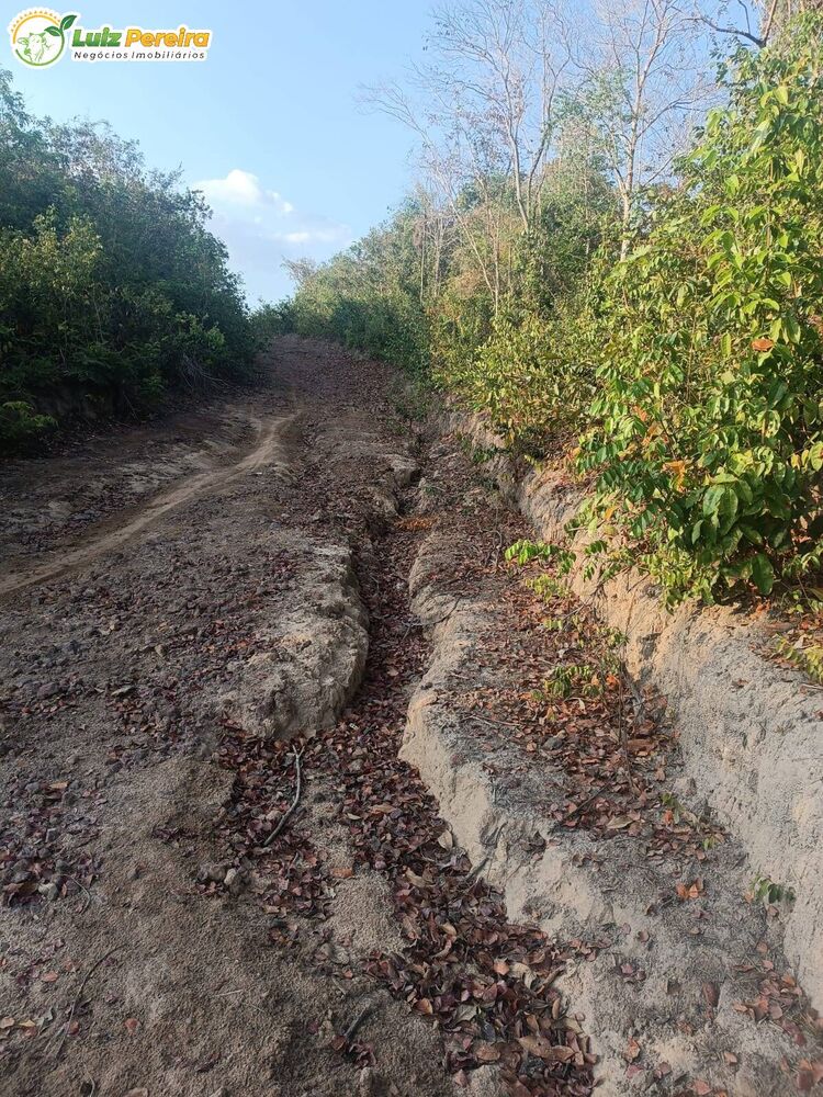 Terreno, 3 hectares - Foto 3