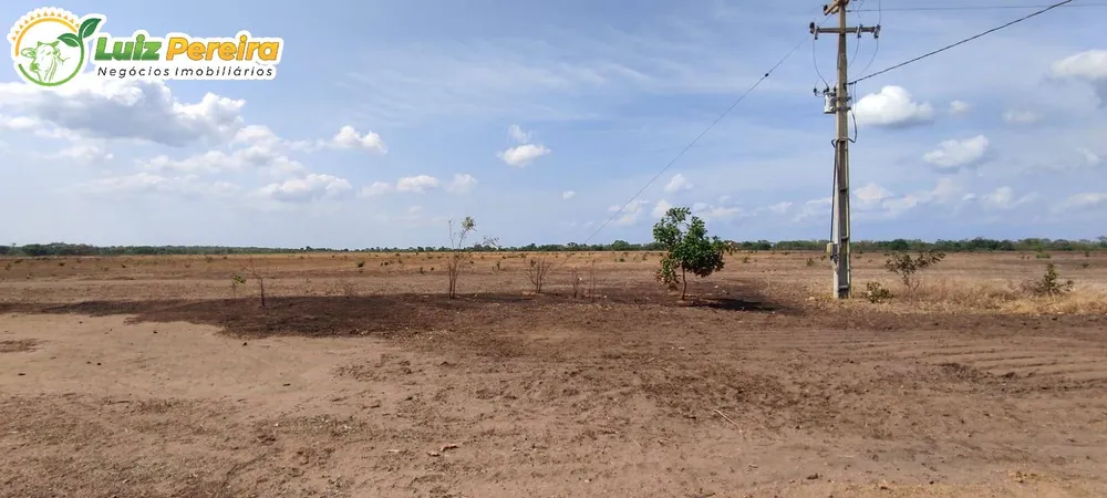 Terreno, 910 hectares - Foto 12