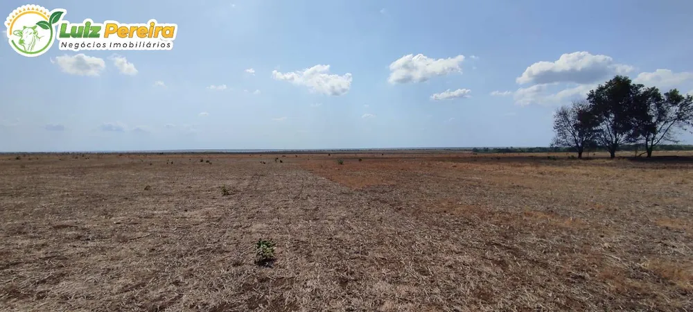 Terreno, 910 hectares - Foto 9