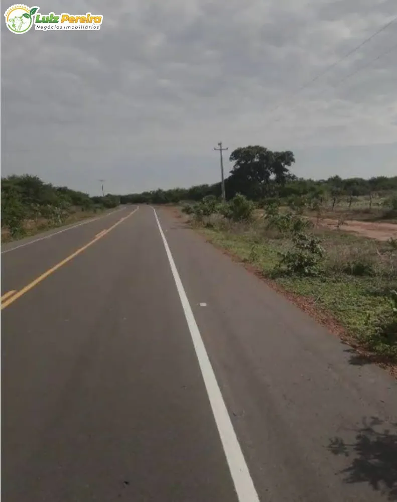 Terreno, 910 hectares - Foto 6
