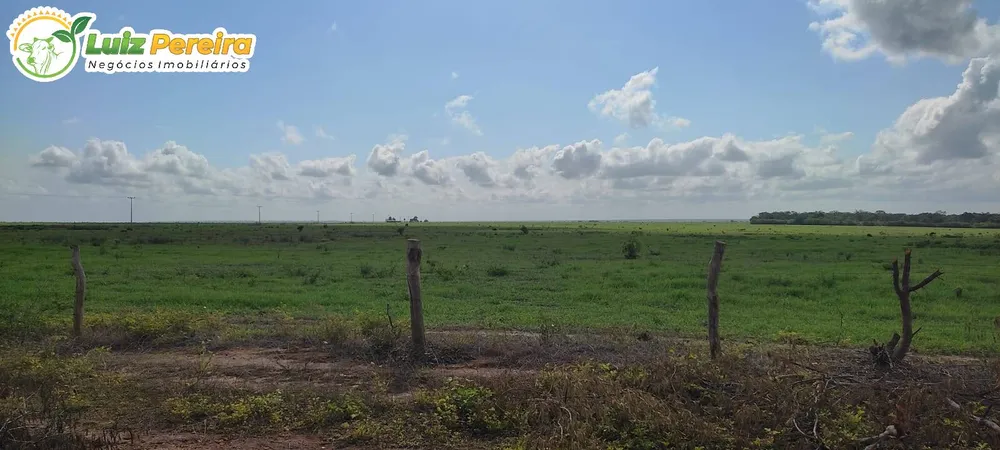 Terreno, 910 hectares - Foto 2