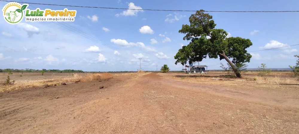 Terreno, 910 hectares - Foto 8