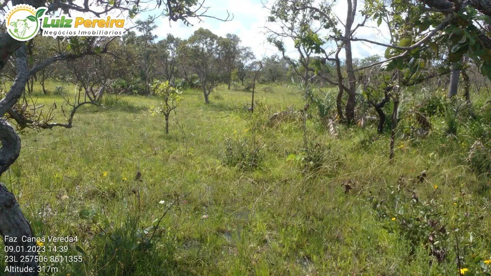 Terreno, 1452 hectares - Foto 1
