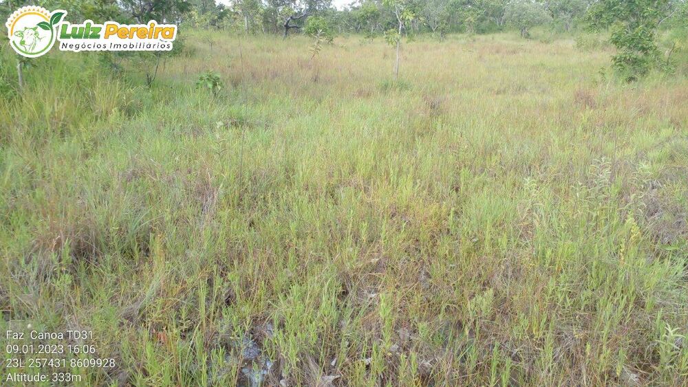 Terreno, 1452 hectares - Foto 3