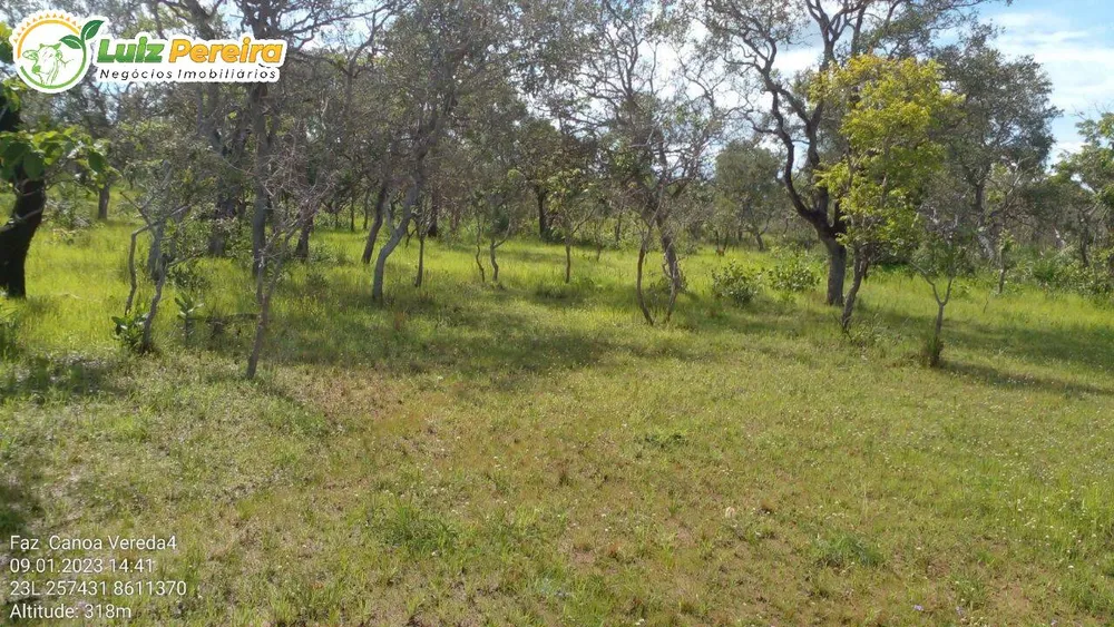 Terreno, 1452 hectares - Foto 2