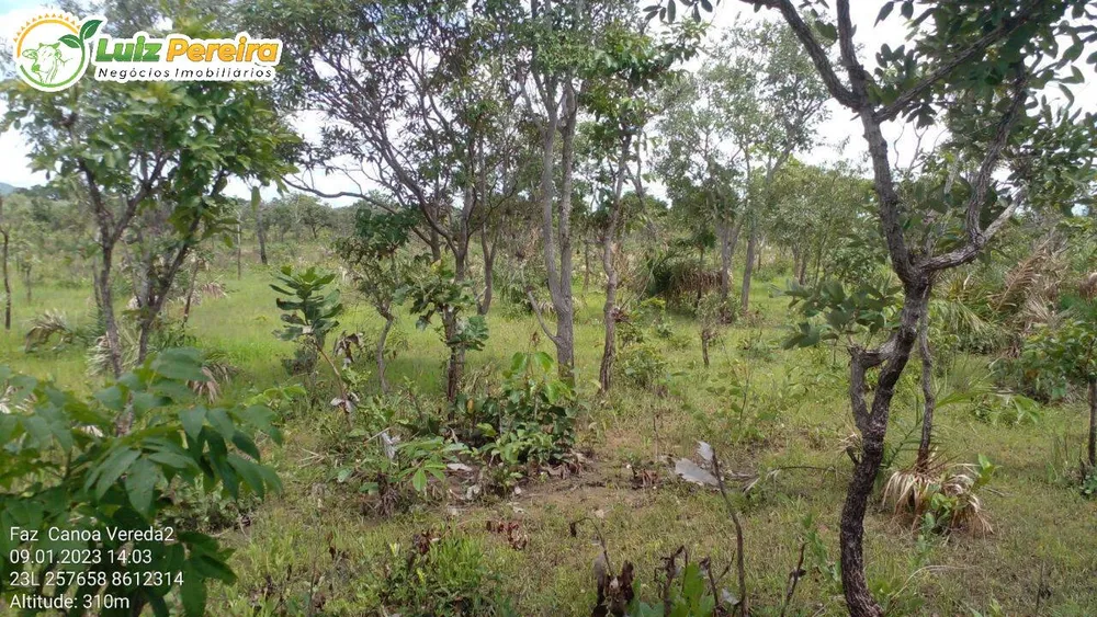 Terreno, 1452 hectares - Foto 4