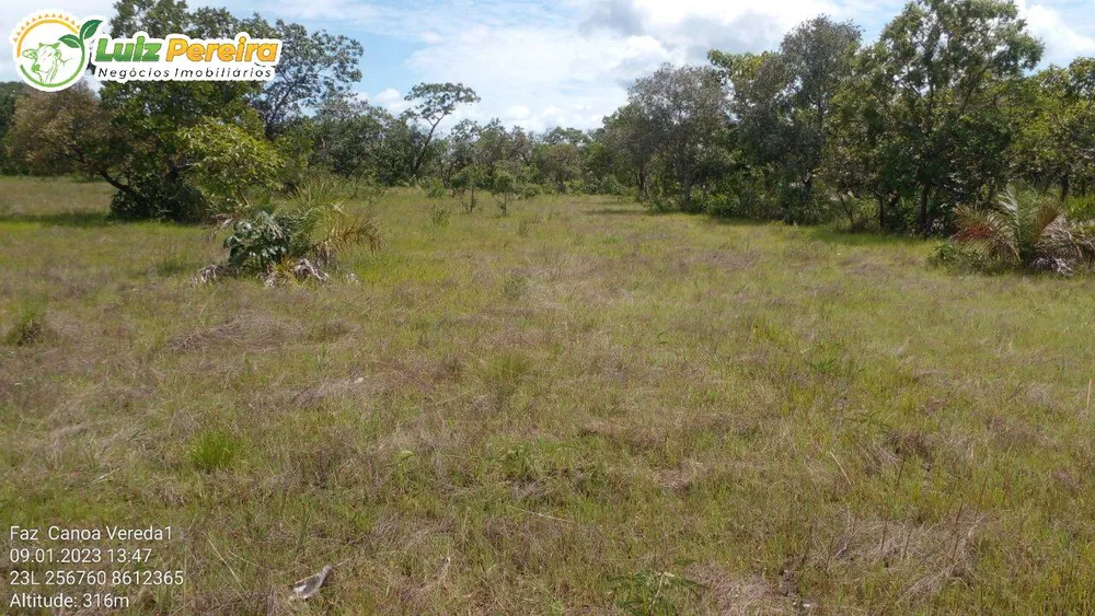 Terreno, 1452 hectares - Foto 3