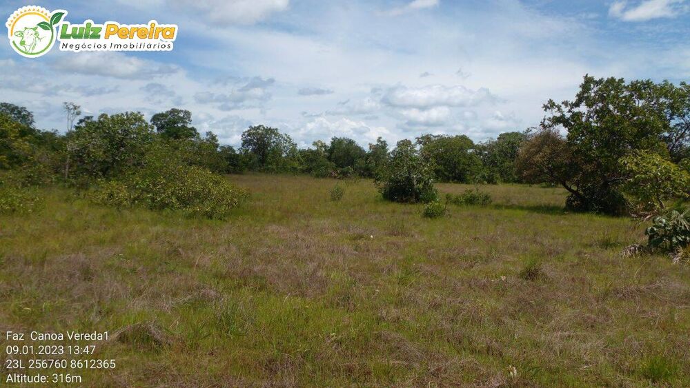 Terreno, 1452 hectares - Foto 1